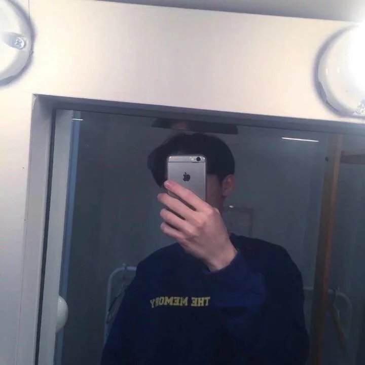 应树芳朋