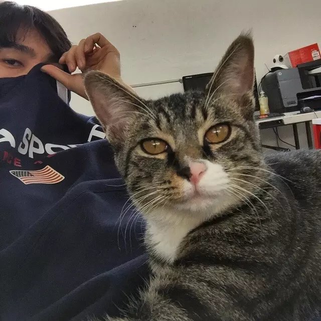 赵振苛军