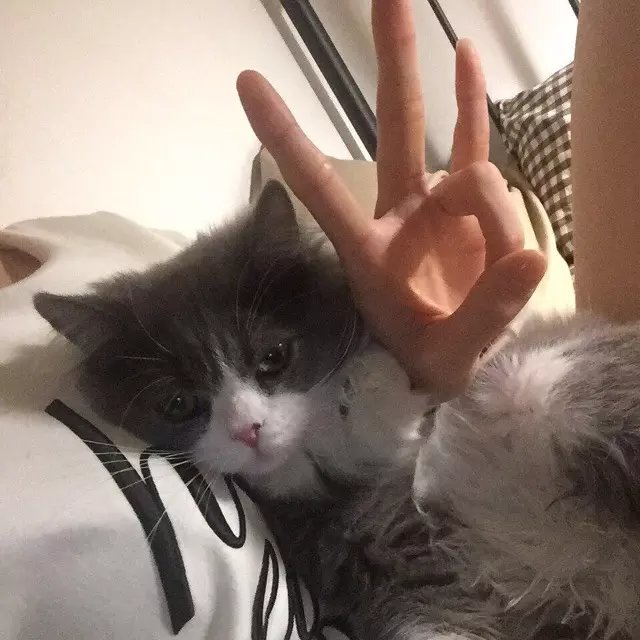 马和弘姣