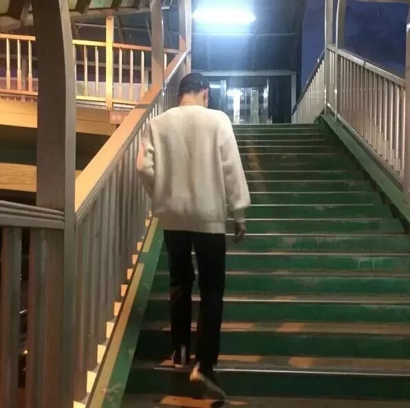 花贤启辰