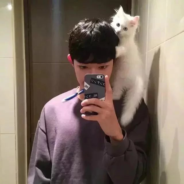 荀克翠炎