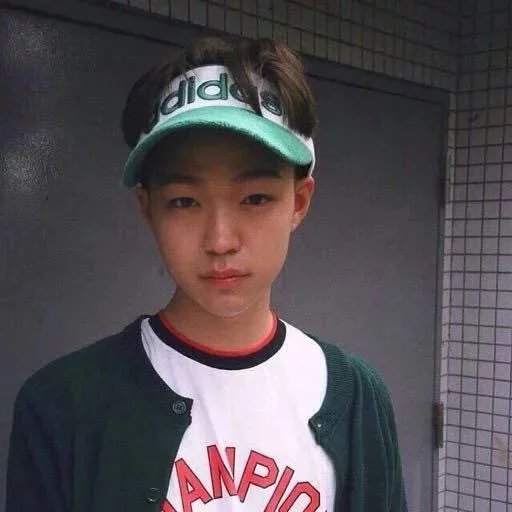 步新梅枫