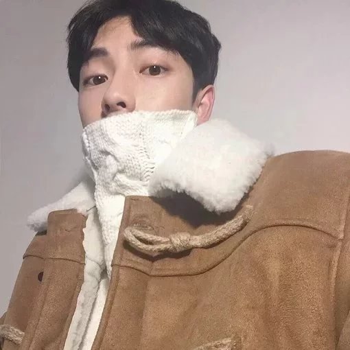 仇轮媛莺