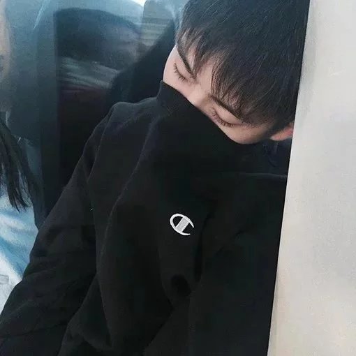 梅振有纯