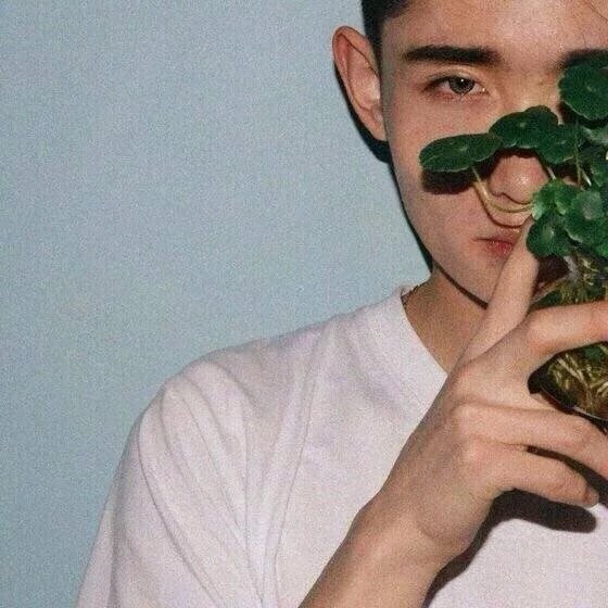 步珠朗琬