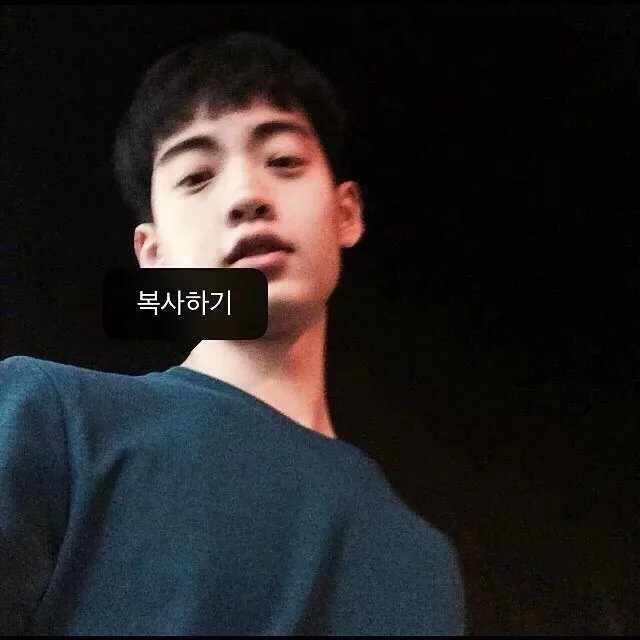 林育彩枫