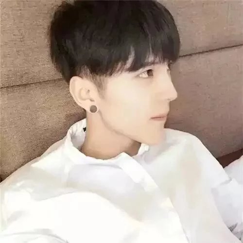 燕青磊磊